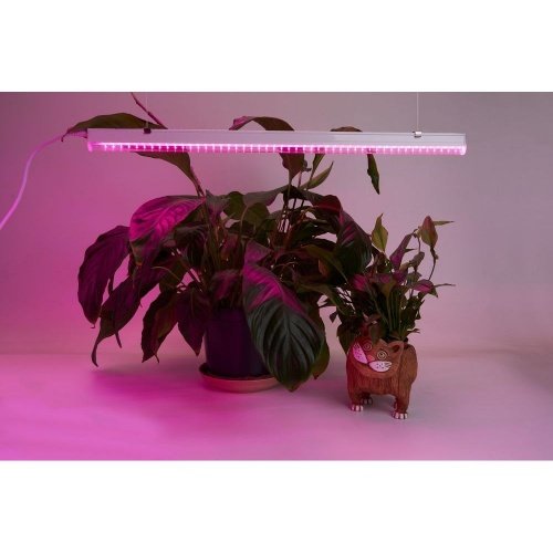Светодиодный светильник для растений, спектр фотосинтез (красно-синий) 18W, пластик, AL7001 фото 8