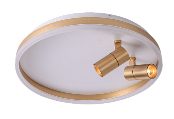 Светильник RAIZY ZRS.1888.02 40Вт 4000K IP20 Золото Zortes