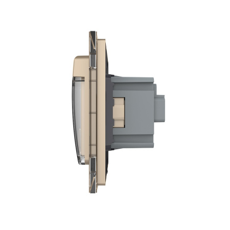 Розетка с крышкой 1 модуль Золотая Livolo