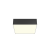 Потолочный светильник LED 24Вт Черный IP20 Ceiling & Wall C032CL-24W3K-SQ-B Technical Maytoni