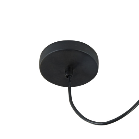 Подвесной светильник 1*E27 60Вт Черный IP20 Denver T449-PL-01-B Maytoni