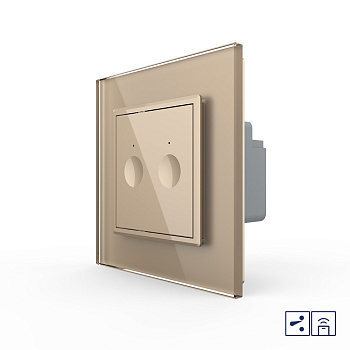 Двухклавишный проходной сенсорный выключатель Module с функцией радиоуправления, цвет золотой Livolo