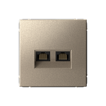 ARTGALLERY РОЗЕТКА двойная компьютерная RJ45+RJ45, кат.6А, механизм, ШАМПАНЬ Systeme Electric ARTGALLERY РОЗЕТКА двойная компьютерная RJ45+RJ45, кат.6А, механизм, ШАМПАНЬ Systeme Electric