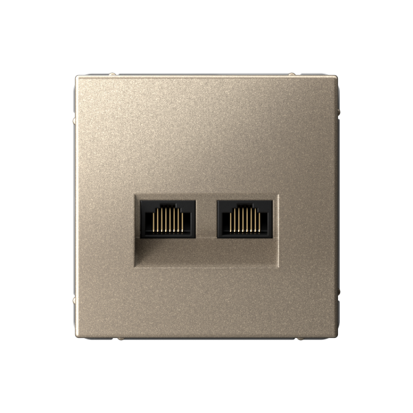 ARTGALLERY РОЗЕТКА двойная компьютерная RJ45+RJ45, кат.6А, механизм, ШАМПАНЬ Systeme Electric ARTGALLERY РОЗЕТКА двойная компьютерная RJ45+RJ45, кат.6А, механизм, ШАМПАНЬ Systeme Electric