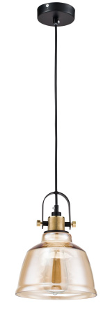 Подвесной светильник 1*E27 40Вт Черный IP20 Irving T163-11-R Maytoni