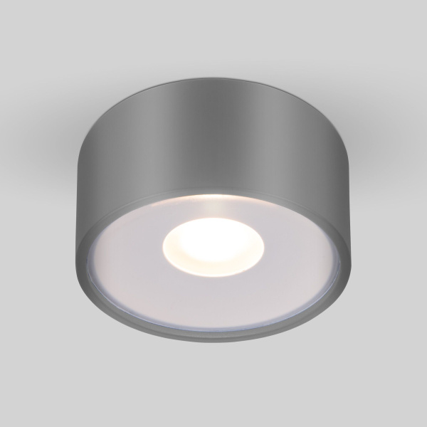 ulichnyy-potolochnyy-svetilnik-light-led-2135-ip65-35141-h-seryy-a057472_0001
