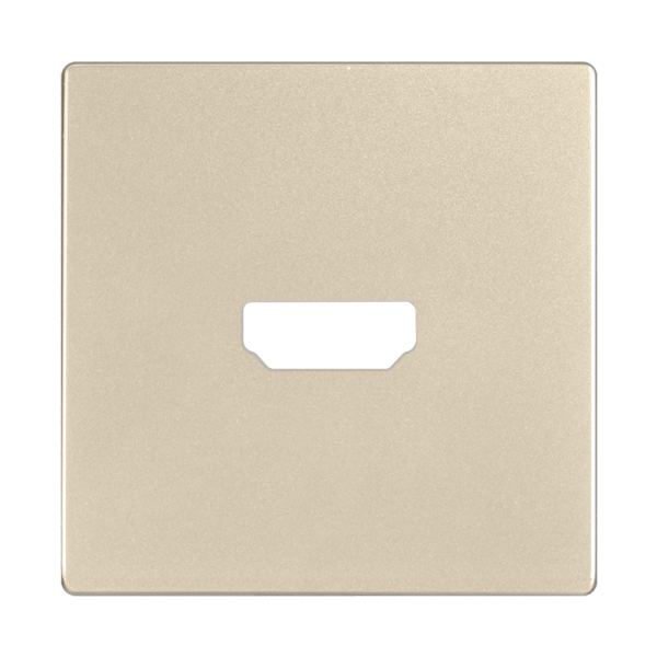 Накладка для розетки HDMI (шампань) СУ IP20 Werkel