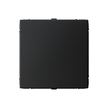 ARTGALLERY ЗАГЛУШКА без суппорта для многопостовых рамок, КАРБОН Systeme Electric