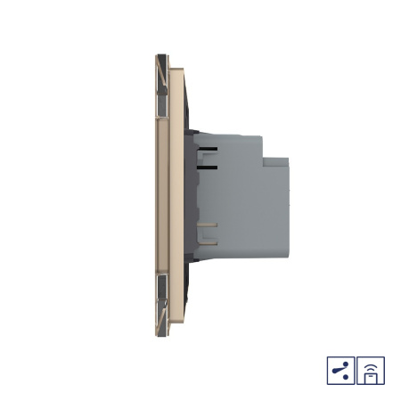 Двухклавишный проходной сенсорный выключатель Module с функцией радиоуправления, цвет золотой Livolo