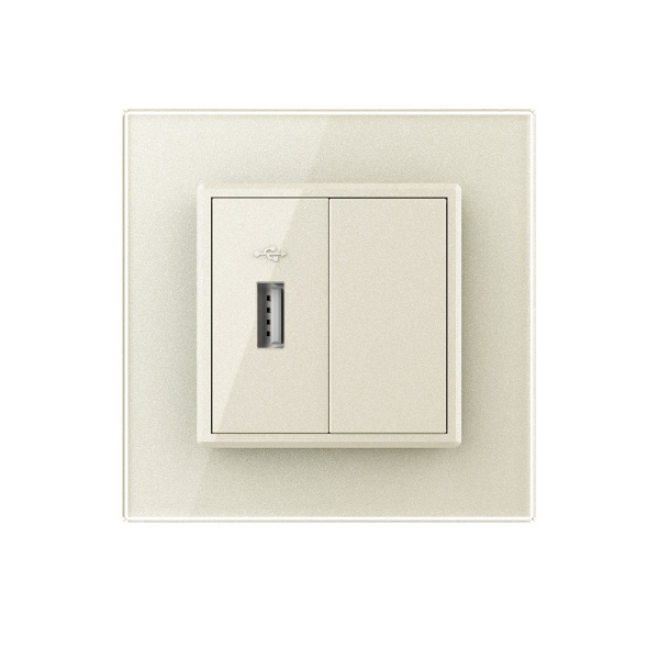 Розетка с одним USB type-A, блоком питания 5В 2.1А 1 пост, цвет жемчужный Livolo Розетка с одним USB type-A, блоком питания 5В 2.1А 1 пост, цвет жемчужный Livolo