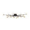 Потолочный светильник 24*G4 3Вт Черный IP20 Celebrity FR5242CL-24B Freya
