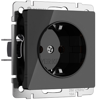 Встраиваемые механизмы Розетка с заземлением (черный акрил) IP20 Werkel 