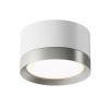 Потолочный светильник 1*GX53 15Вт Белый с Серебром IP20 Ceiling & Wall C086CL-GX53-SRD-WS Technical Maytoni