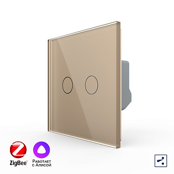 Двухклавишный проходной умный сенсорный выключатель Livolo ZigBee, 1 пост, Золотой VL-C702SZ-2AG