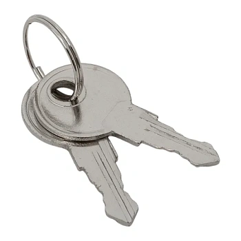 Ключ для замка (арт, 18-20/38-ip31) PROxima EKF