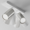 Потолочный светильник 2*GU10 10Вт Белый и Матовое серебро IP20 Ceiling & Wall C051CL-U-2WS Technical Maytoni