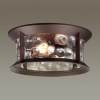 Ландшафтный потолочный св-к E27 2*60W IP44 MAVRET темно-коричневый/стекло ODEON LIGHT