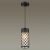 Ландшафтный св-к-подвес E27 1*60W IP44 DUNES черный/стекло ODEON LIGHT