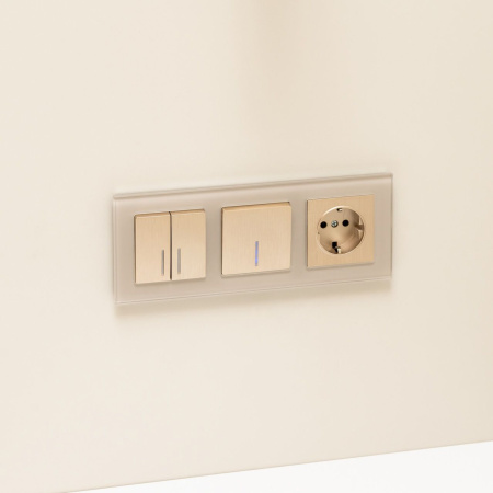 Розетка с заземлением и шторками (шампань рифленый) СУ IP31 Werkel