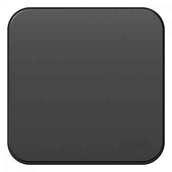 Blanca Выключатель 1-кл О/У (сх.1) с самовозв.,изол.пл.,10А, антрацит Schneider Electric