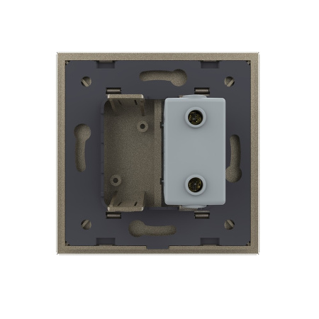 Розетка с одним USB type-A, блоком питания 5В 2.1А 1 пост, цвет шампань Livolo