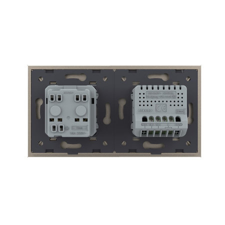 Двухклавишный сенсорный выключатель с розеткой 2 поста, цвет шампань Livolo