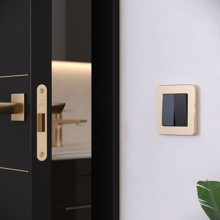 Platinum Рамка на 1 пост шампань Werkel