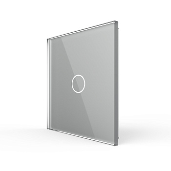 Панель для одноклавишного выключателя серая Livolo