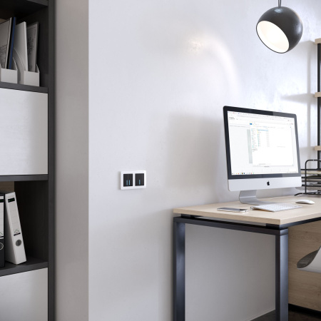 Acrylic Рамка на 2 поста белый Werkel