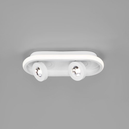 Потолочный светильник белый IP20 (20123/2 LED белый) Eurosvet