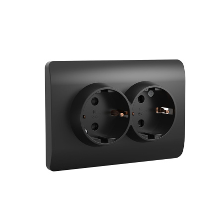 Розетка с/з со шторками двойная, 16А, черный NEW3-E CHINT Розетка с/з со шторками двойная, 16А, черный NEW3-E CHINT