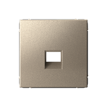 ARTGALLERY НАКЛАДКА для информационных функций типа Keystone, ШАМПАНЬ Systeme Electric