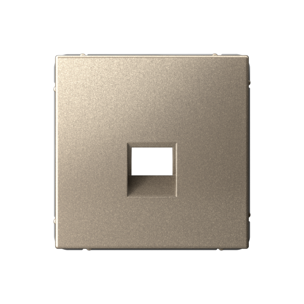 ARTGALLERY НАКЛАДКА для информационных функций типа Keystone, ШАМПАНЬ Systeme Electric