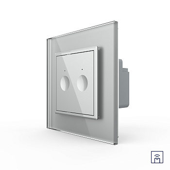 Двухклавишный сенсорный выключатель Module с функцией радиоуправления, цвет серый Livolo