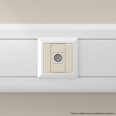 Розетка TV одиночная модульная, "Avanti", "Ванильная дымка", 1 модуль DKC
