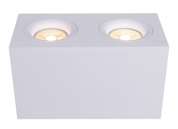 Потолочный светильник 2*GU10 50Вт Белый IP20 Ceiling & Wall C013CL-02W Technical Maytoni