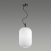 Подвес E27 60W ROOFI белый/черный B ODEON LIGHT
