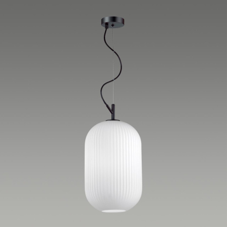 Подвес E27 60W ROOFI белый/черный B ODEON LIGHT