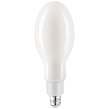 Лампа GLDEN-ED90M-55-230-E27-2700 General