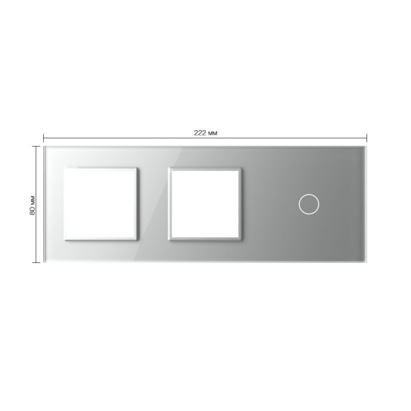 Панель для двух розеток и сенсорного выключателя, 1 клавиша, цвет серый, стекло Livolo