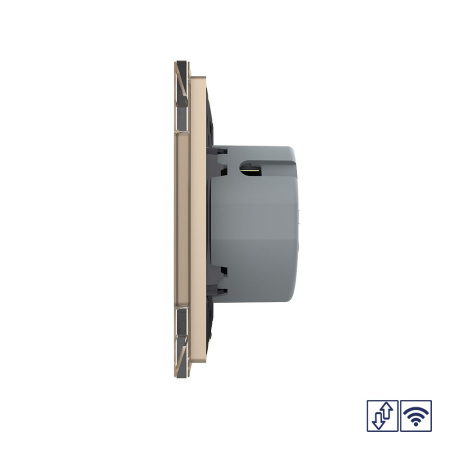 Сенсорный радиоуправляемый выключатель для жалюзи Quadro 2 клавиши 1 модуль Золотой Livolo