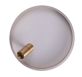 Светильник RAIZY ZRS.1888.04 29Вт 4000K IP20 Золото Zortes