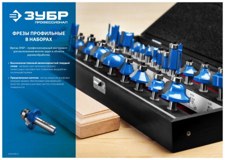 30шт, набор профильных фрез по дереву ЗУБР