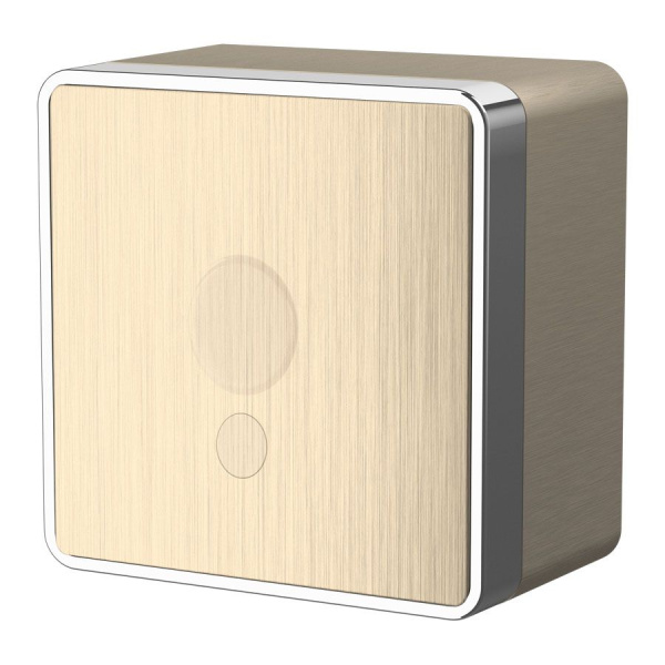 Вывод кабеля (шампань рифленый) Gallant ОУ IP20 Werkel