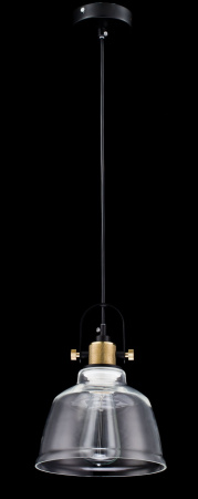 Подвесной светильник 1*E27 40Вт Черный IP20 Irving T163-11-W Maytoni