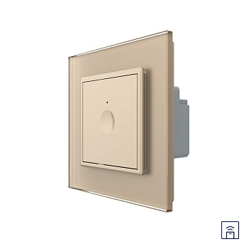 Одноклавишный сенсорный выключатель Module с функцией радиоуправления, цвет золотой Livolo