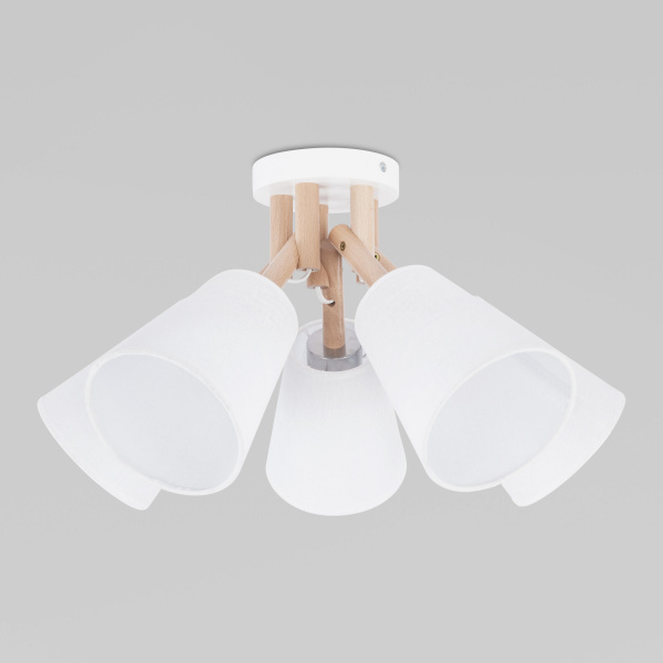 potolochnyy-svetilnik-666-vaio-5-00000072655_0001