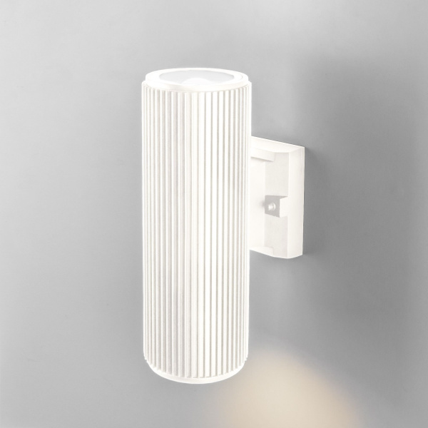 Уличный настенный светильник 2*E27 песочно-белый IP54 Strict (a057008) Elektrostandard