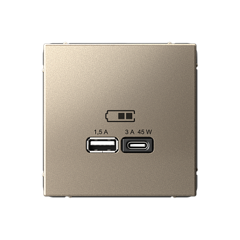 ARTGALLERY USB РОЗЕТКА A + тип-C 45Вт высокоскор.заряд. QC, PD, механизм, ШАМПАНЬ Systeme Electric