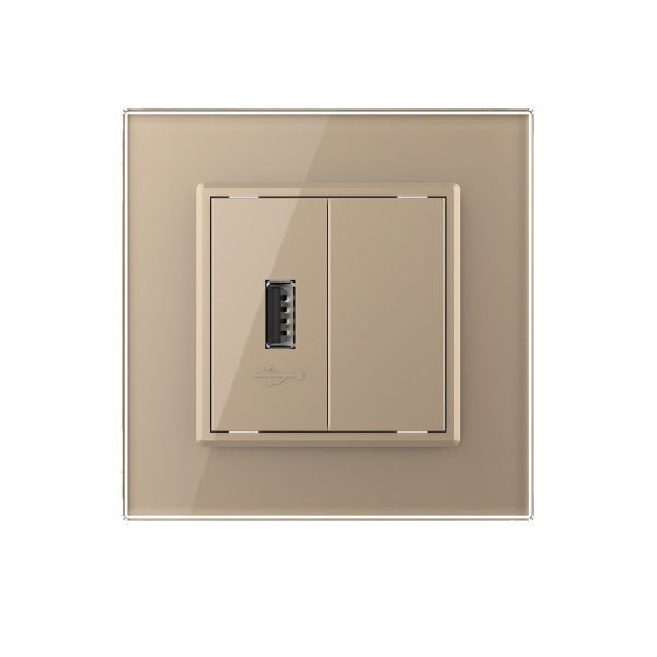 Розетка USB с блоком 5В 2.1А Золотая Livolo Розетка USB с блоком 5В 2.1А Золотая Livolo